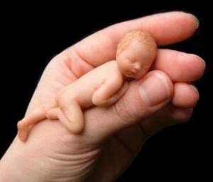 Erkek bebeklerde prematüre riski fazla