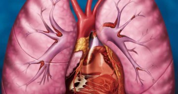 Akciğer embolisi belirtileri nelerdir?