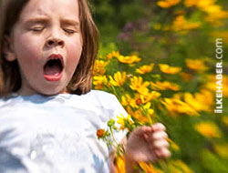 Bahar alerjisine karşı önleminizi alın