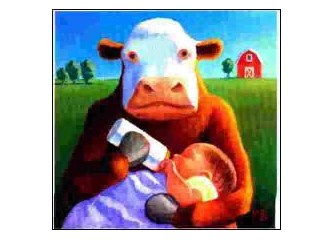 Bebeklere neden inek sütü verilmez?