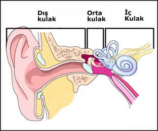 Dış kulak iltihaplanmasının belirtileri
