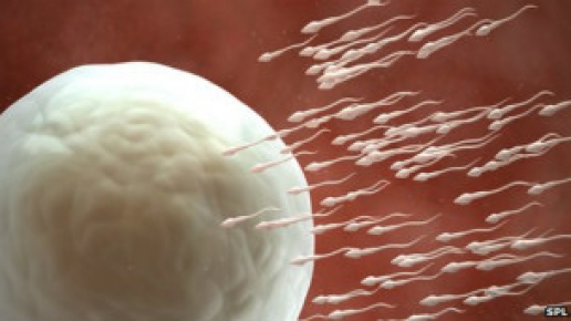 Erkeklerin sperm sayısı azalıyor