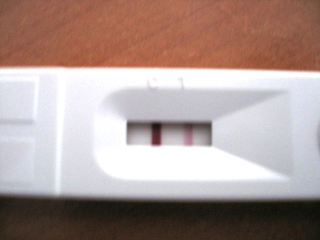 Gebelik Hamilelik Testi Faydaları