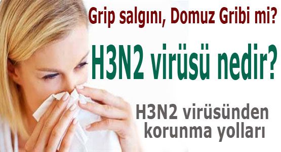 H3N2 virüsünden korunma yolları