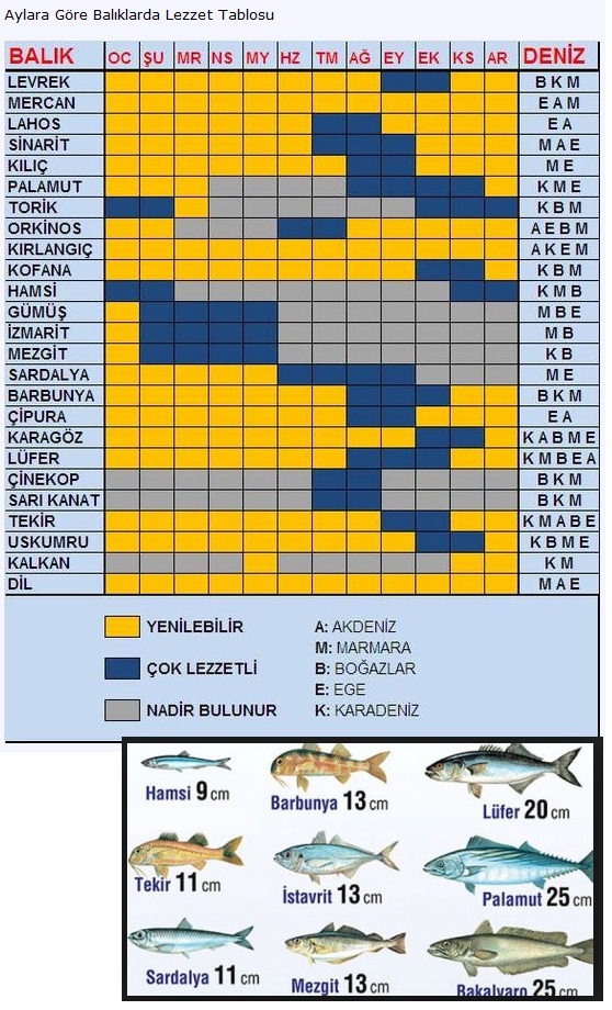 Hangi mevsimde hangi balık yenir?