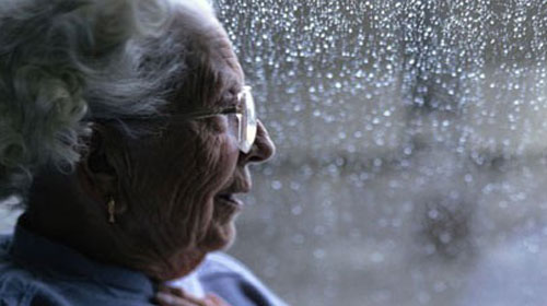 Hindistancevizi yağı Alzheimer için umut olur mu?