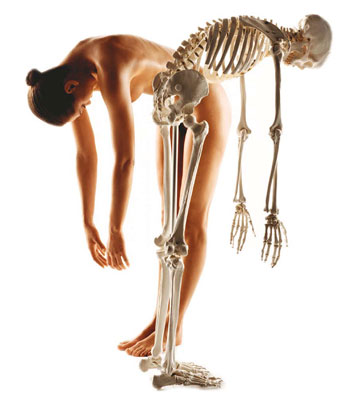Kadınlarda kemik erimesi (osteoporoz)