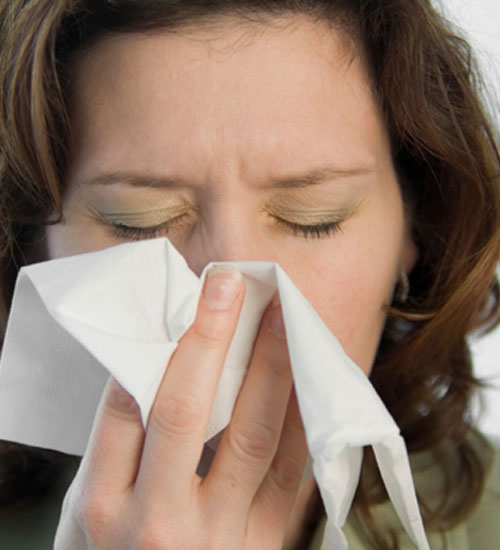 Keçi gribi değil mevsimsel grip