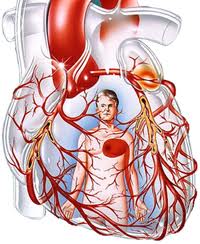 Koltuk altı kalp ameliyatı nasıl yapılır?