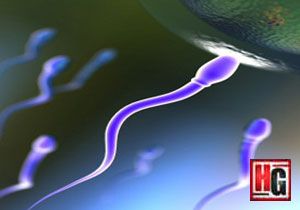 Spermde gizli gençlik sırrı