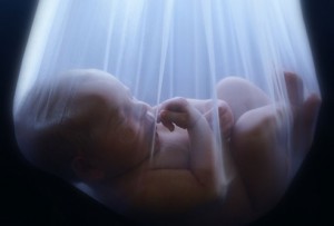 Tüp bebek tedavisi görenler oruç tutabilir mi?