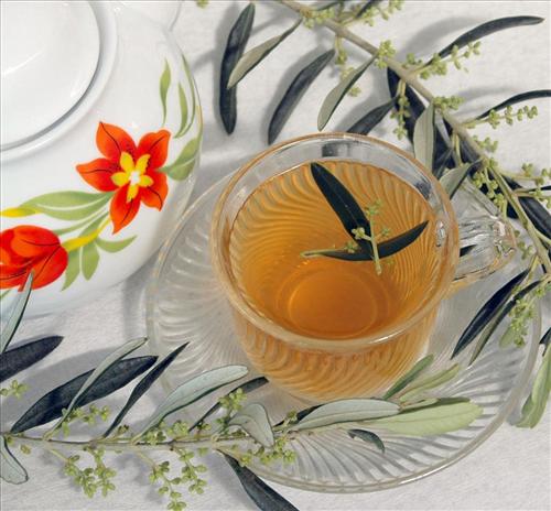 Zeytin yaprağı çayının faydaları nelerdir?